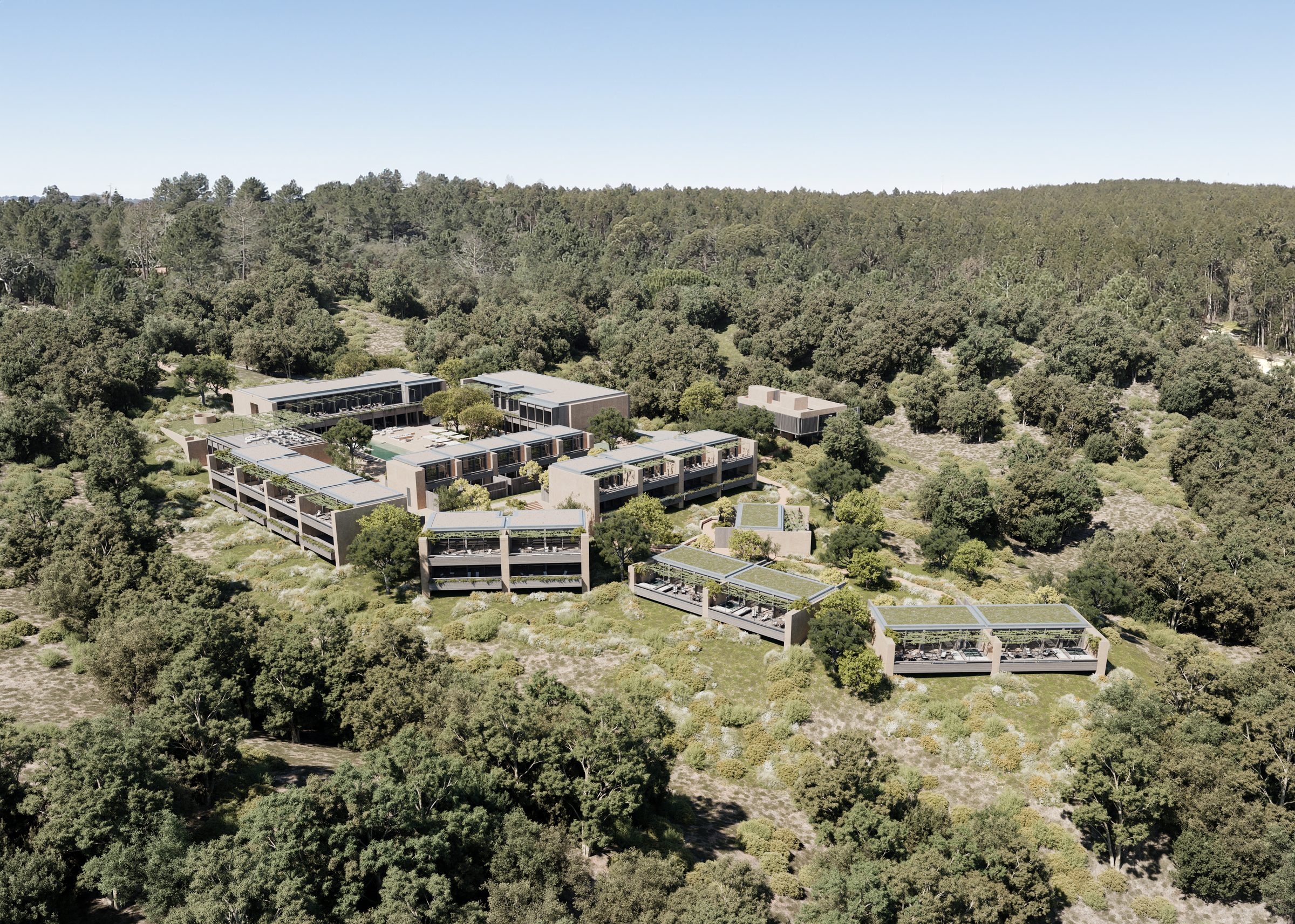 Aerial view of the AMAIA hotel signature building, set low into the pine forest of Ribatejo.