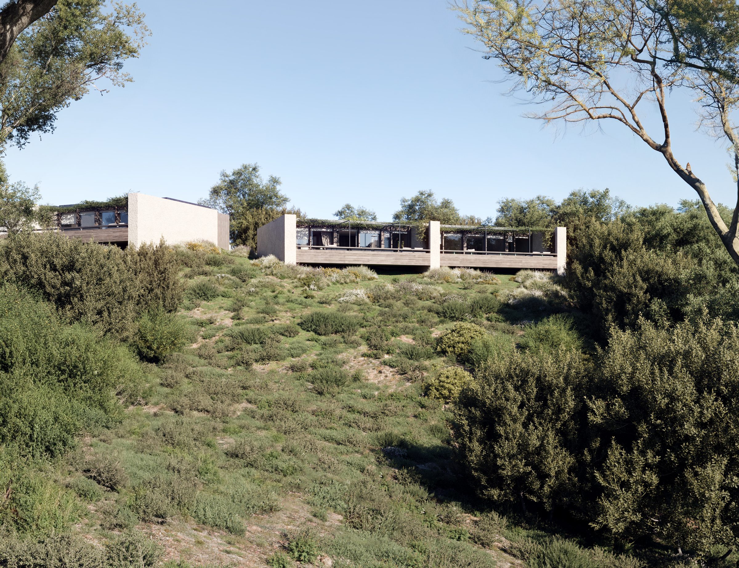 The hotel signature building seen from the maquis below — timber-clad volumes set into the hillside above the wildflower scrub.